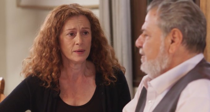 Η γη της Ελιάς