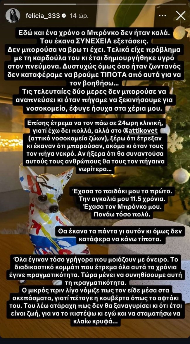 Φελίσια Τσαλαπάτη: "Έφυγε ήσυχα στα χέρια μου - Θα έκανα τα πάντα για αυτόν και δεν κατάφερα τίποτα"