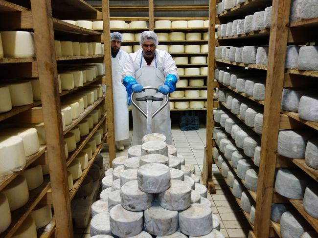 Σπύρος Χαριτάτος