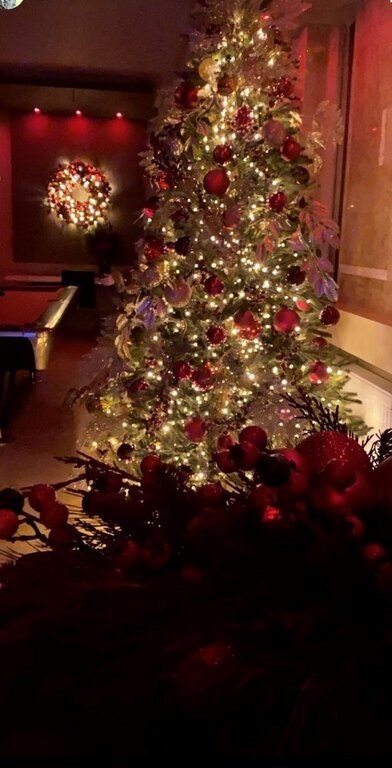 It's Christmas Time | Αυτά είναι τα Χριστουγεννιάτικα Δέντρα των σπιτιών τους