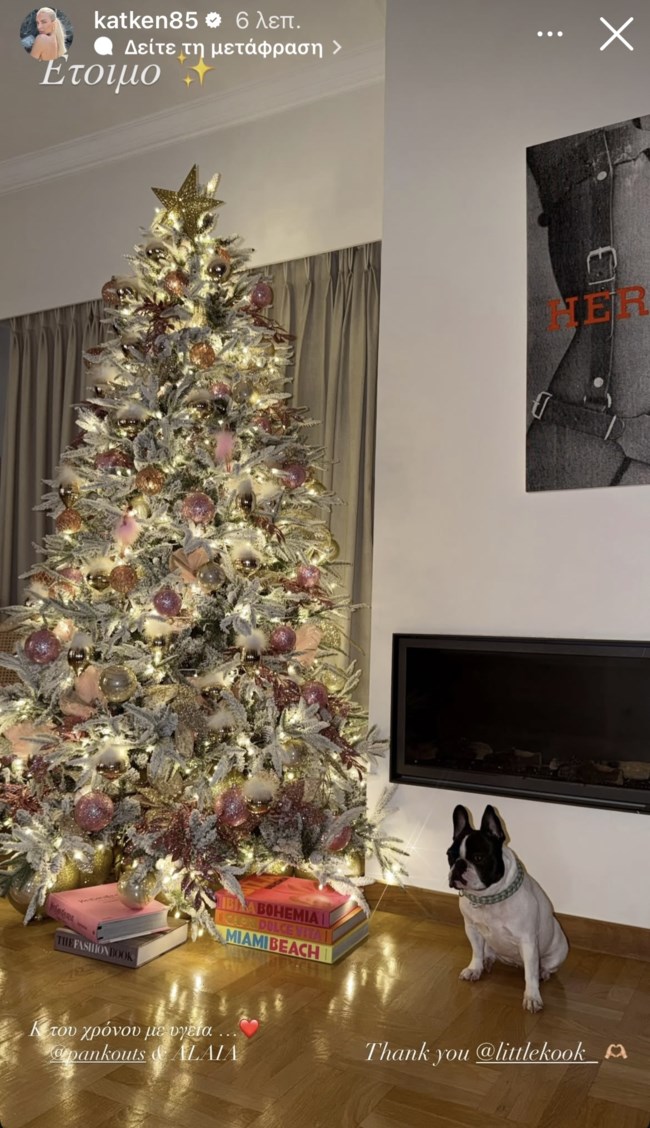 Η Κατερίνα Καινούργιου στόλισε για Χριστούγεννα: "Ειδικά φέτος αυτό το δέντρο έγινε με πολλή αγάπη"