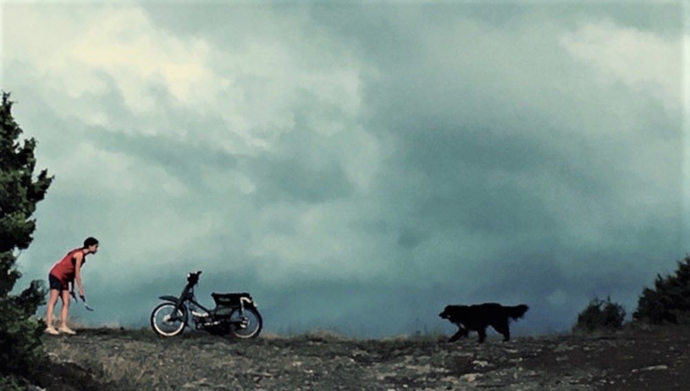 Φράγμα (2017)
