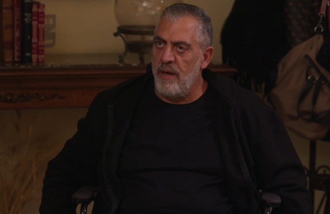 Η γη της Ελιάς