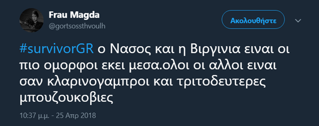 Survivor - εικόνα 2
