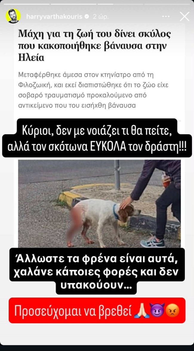 Ξέσπασε ο Χάρης Βαρθακούρης: "Τον σκότωνα εύκολα τον δράστη"