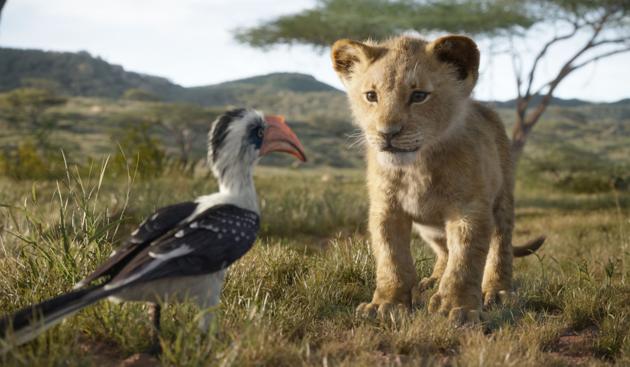 The Lion King - εικόνα 2