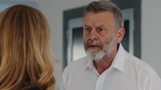 Η γη της Ελιάς