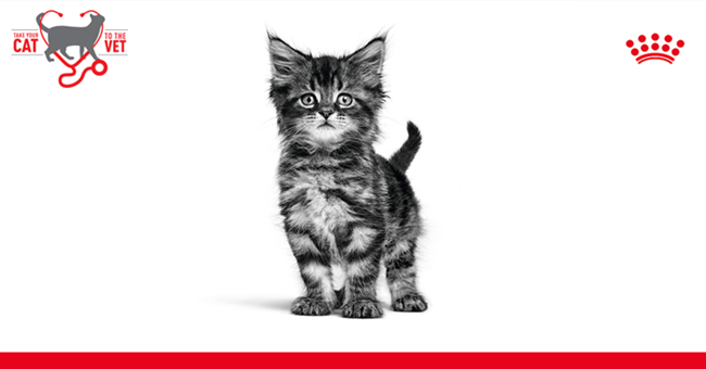 Royal Canin