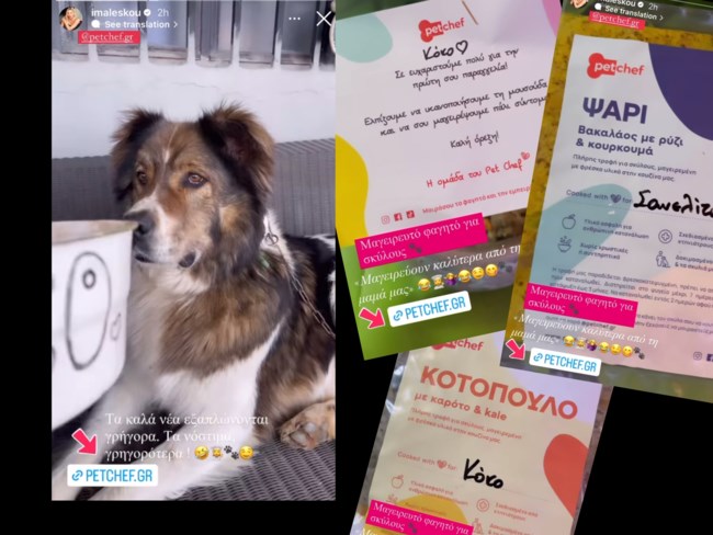 Petchef Ιωάννα Μαλέσκου