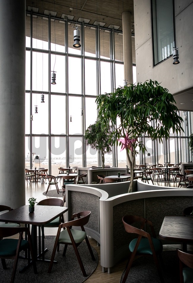 Διάσημες Εμφανίσεις  - εικόνα 2