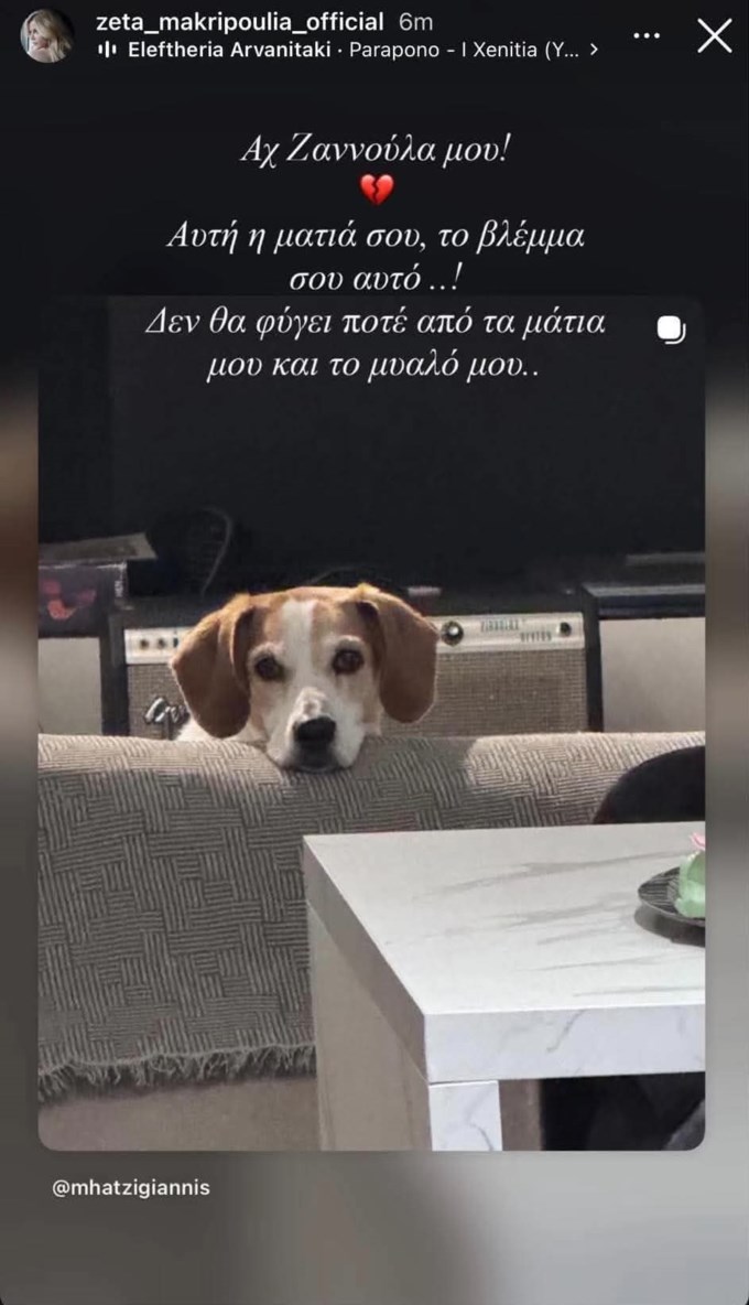Η Ζέτα Μακρυπούλια συμπαραστέκεται στον Μιχάλη Χατζηγιάννη: "Δε θα φύγει ποτέ από τα μάτια μου και το μυαλό μου..."