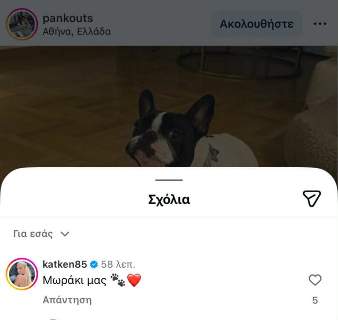 Το σχόλιο της Κατερίνας Καινούργιου στον Παναγιώτη Κουτσουμπή: "Το μωράκι μας"