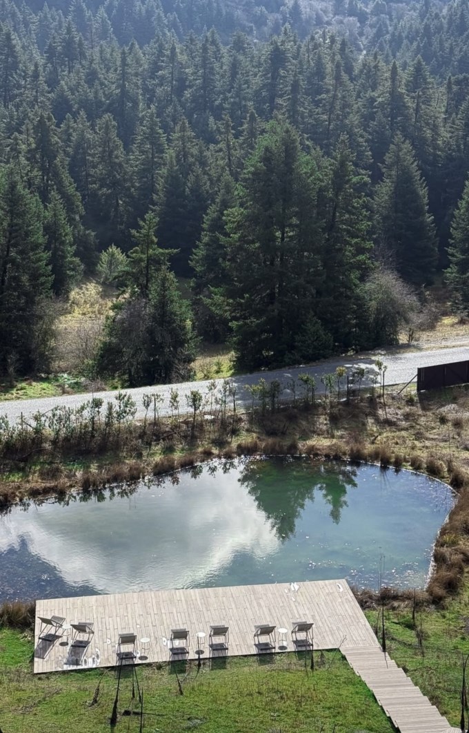 Κατερίνα Καινούργιου story