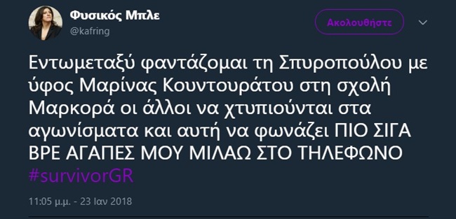 Survivor - εικόνα 2