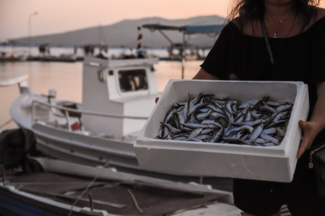 γιορτή σαρδέλας Καλλονής