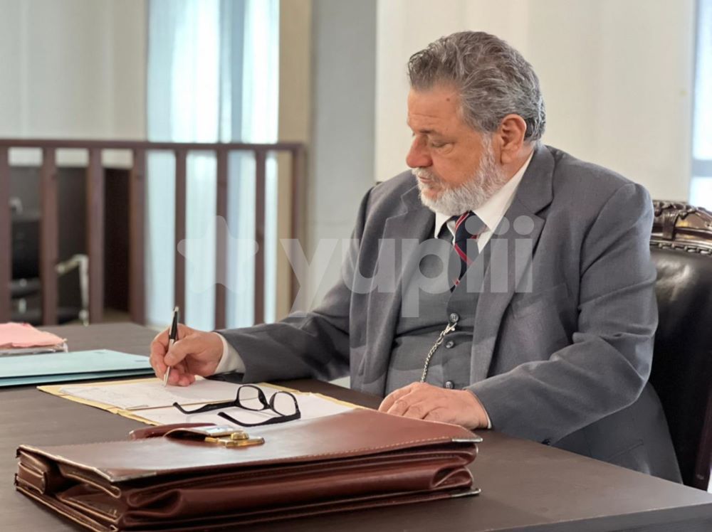 Η γη της ελιάς
