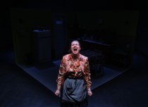 Πρεμιέρα για την "Σίρλεϊ" και το "Κάποιος μιλάει μόνος του κρατώντας ένα ποτήρι γάλα" στο Θέατρο του Νέου Κόσμου