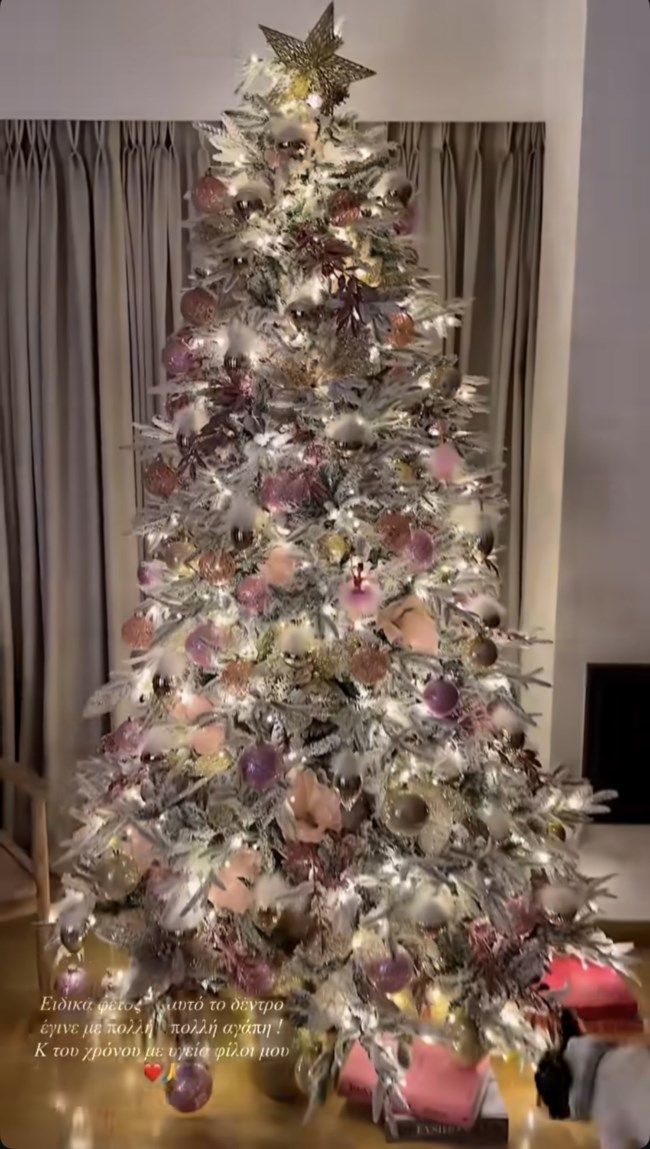 Κατερίνα Καινούργιου story