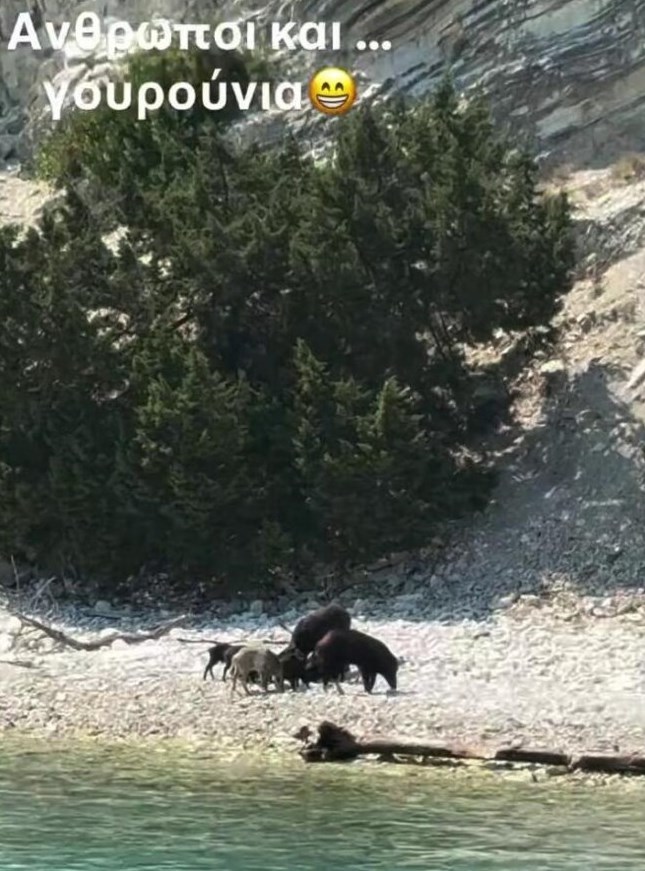 Γιώργος Λιάγκας story