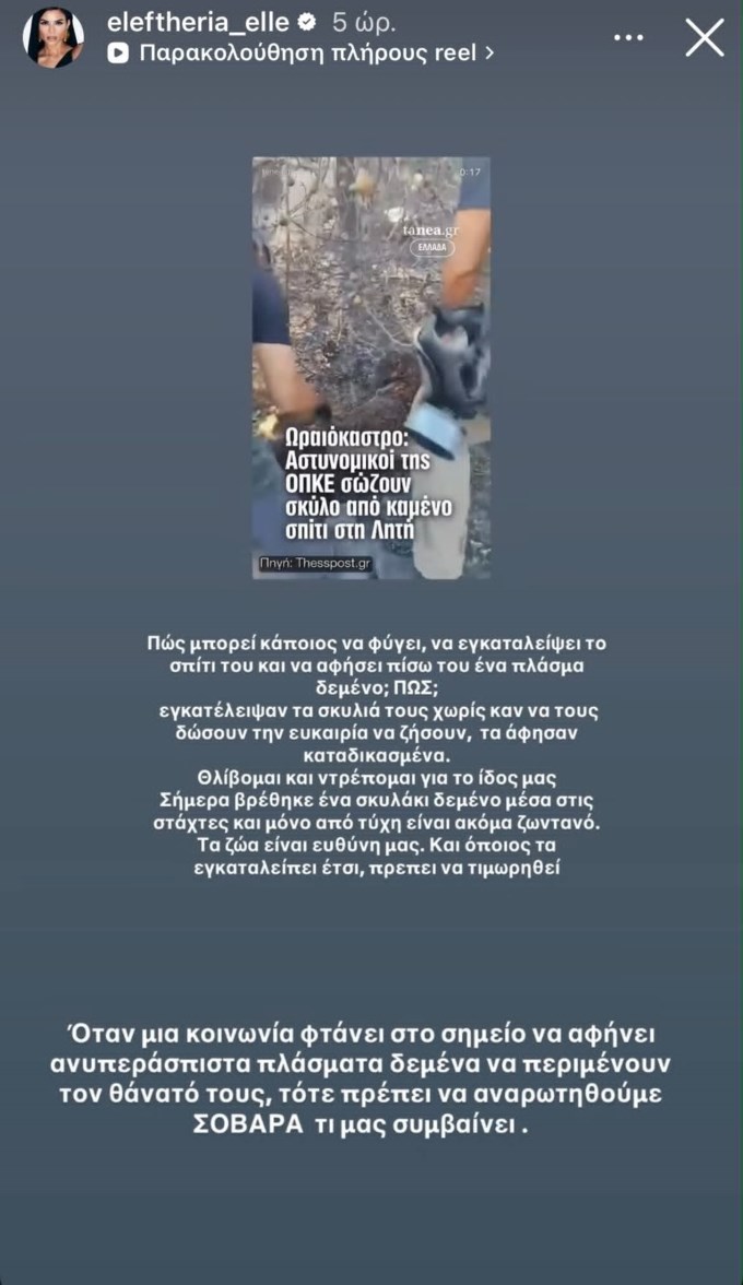 Αντέδρασε η Ελευθερία Ελευθερίου: "Τα άφησαν καταδικασμένα. Θλίβομαι και ντρέπομαι για το είδος μας"