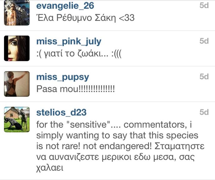 Ο Σάκης, Το Έρμο Το Σαλάχι Και Τα Σχόλια Στο Instagram - εικόνα 3