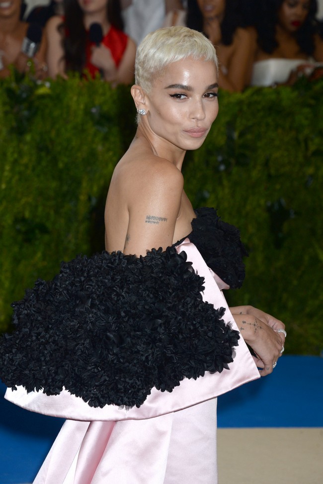 Met Gala 2017 - εικόνα 3