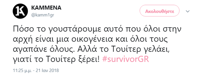 Survivor - εικόνα 2