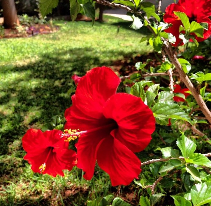 Δούκισσα Νομικού: Blog Post 2 - εικόνα 19