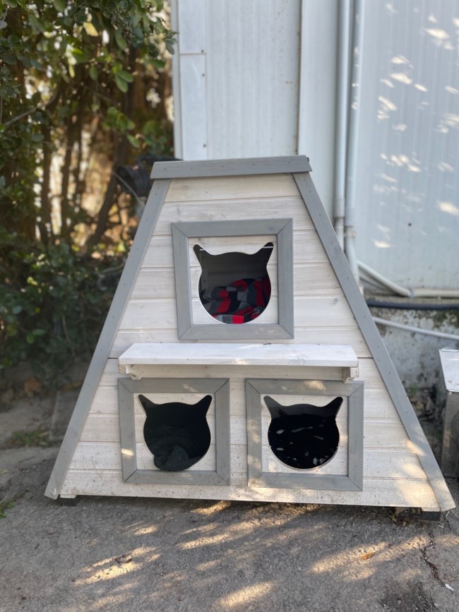 AB cat corner