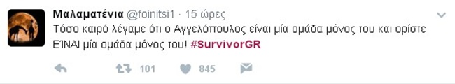 Survivor - εικόνα 5