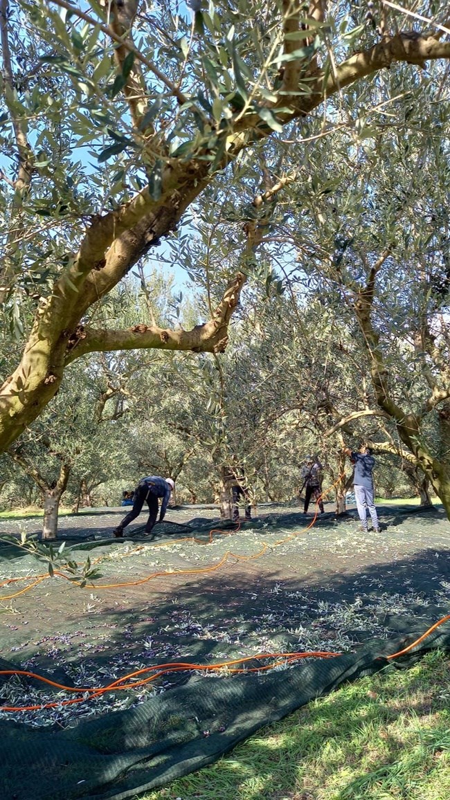 Άγγελος Μπράτης χωριό