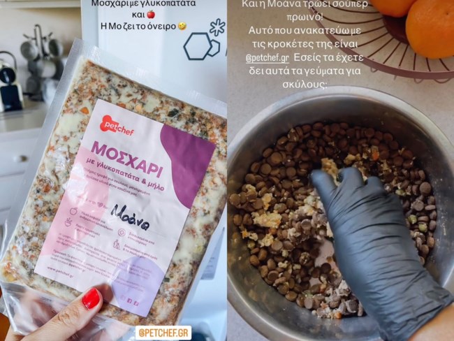 Petchef Μυρτώ Κάζη