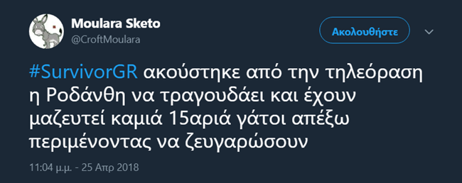 Survivor - εικόνα 11