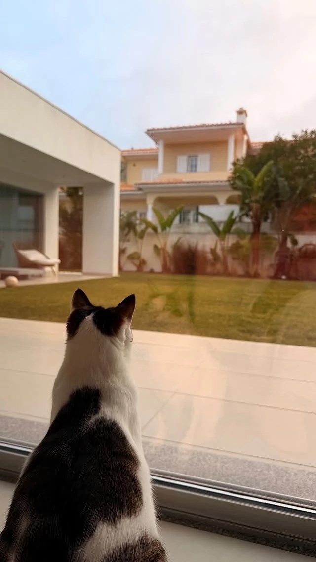 Ελένη Βουλγαράκη | Δείχνει για πρώτη φορά τον τεράστιο κήπο του σπιτιού της στη Λισαβόνα