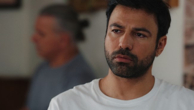 Γη της Ελιάς