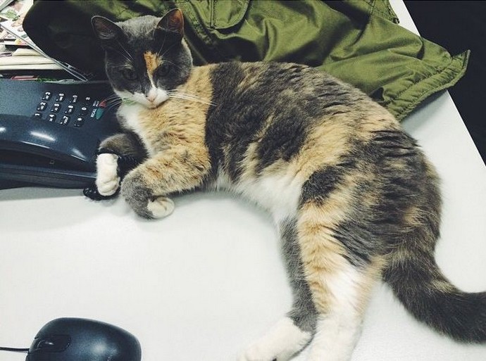 ταSOS της εβδομάδας #33