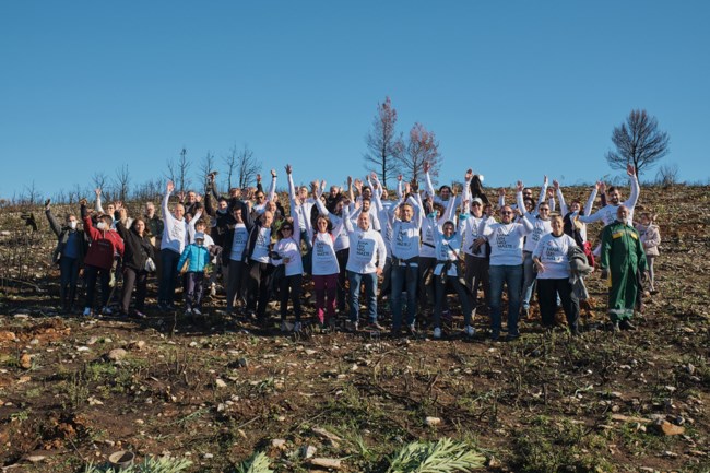 "Παπαστράτος" | Φυτεύει 70.000 δέντρα και αναλαμβάνει τη φροντίδα τους σε πυρόπληκτες περιοχές της Αττικής