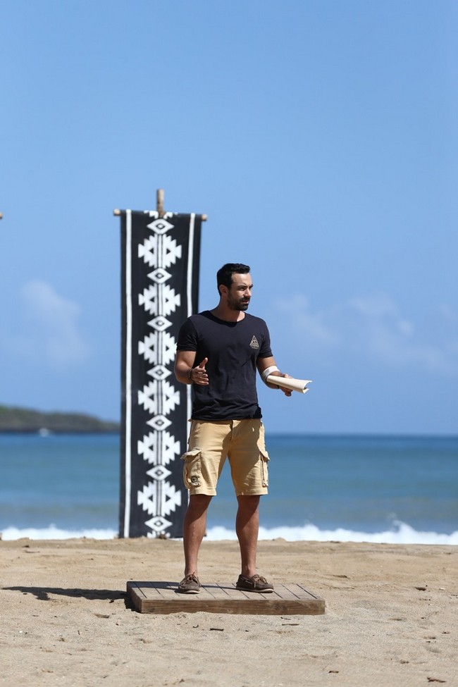 Survivor - εικόνα 2