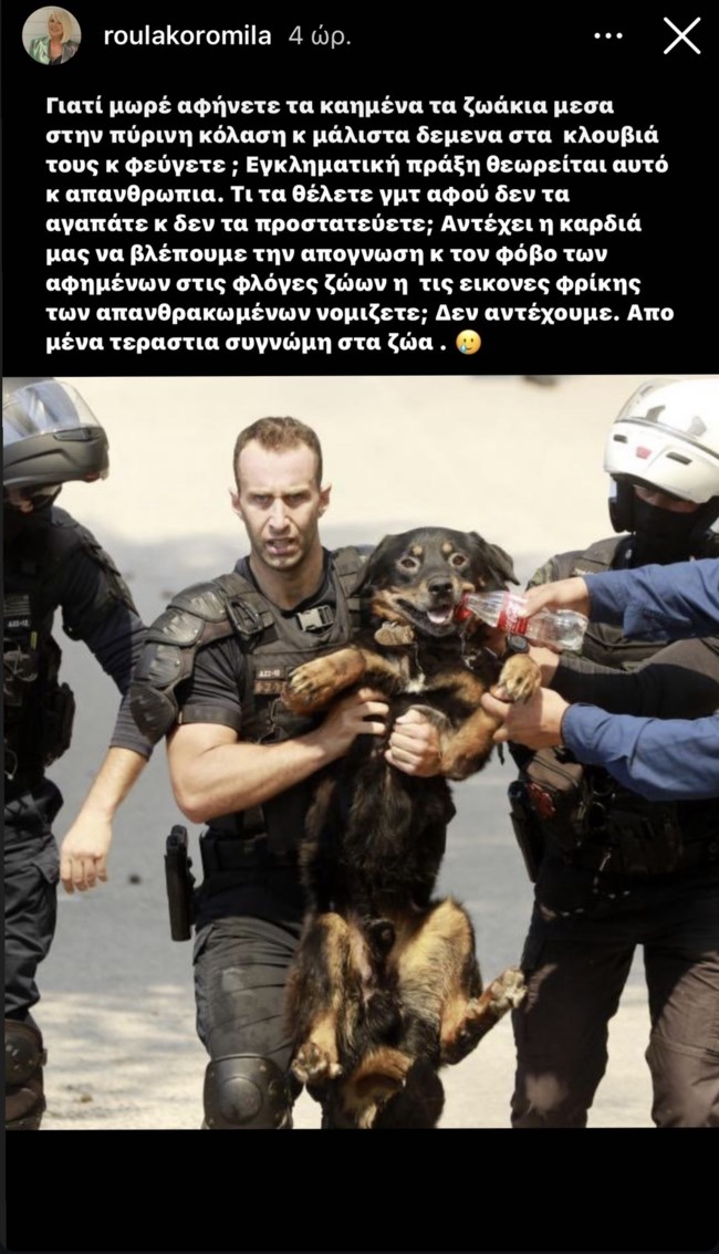 Απασφάλισε η Ρούλα Κορομηλά για τις πυρκαγιές: "Από εμένα τεράστια συγγνώμη"