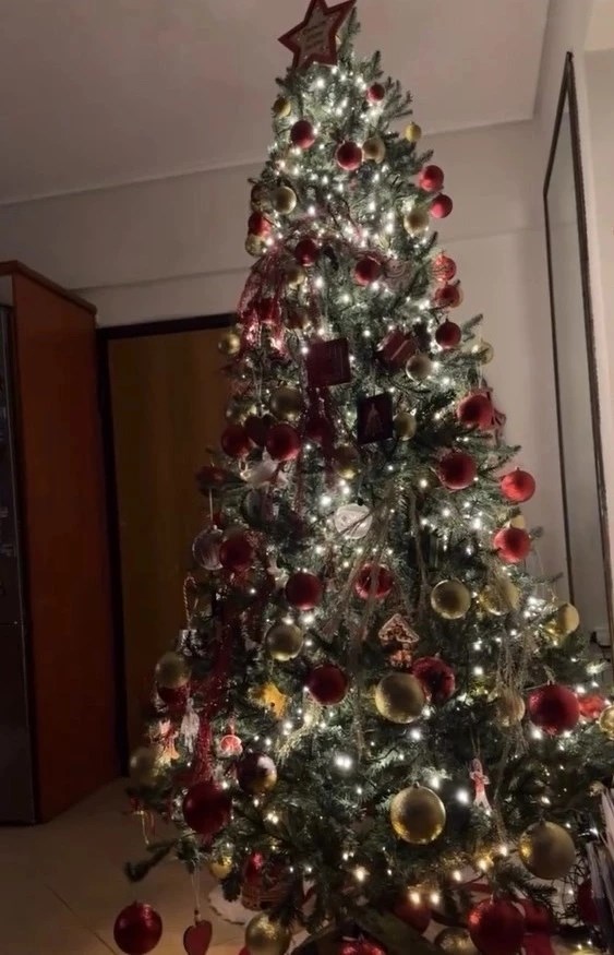 Στο σπίτι της Ελένης Χατζίδου & του Ετεοκλή Παύλου | Ο γιορτινός στολισμός του σαλονιού τους