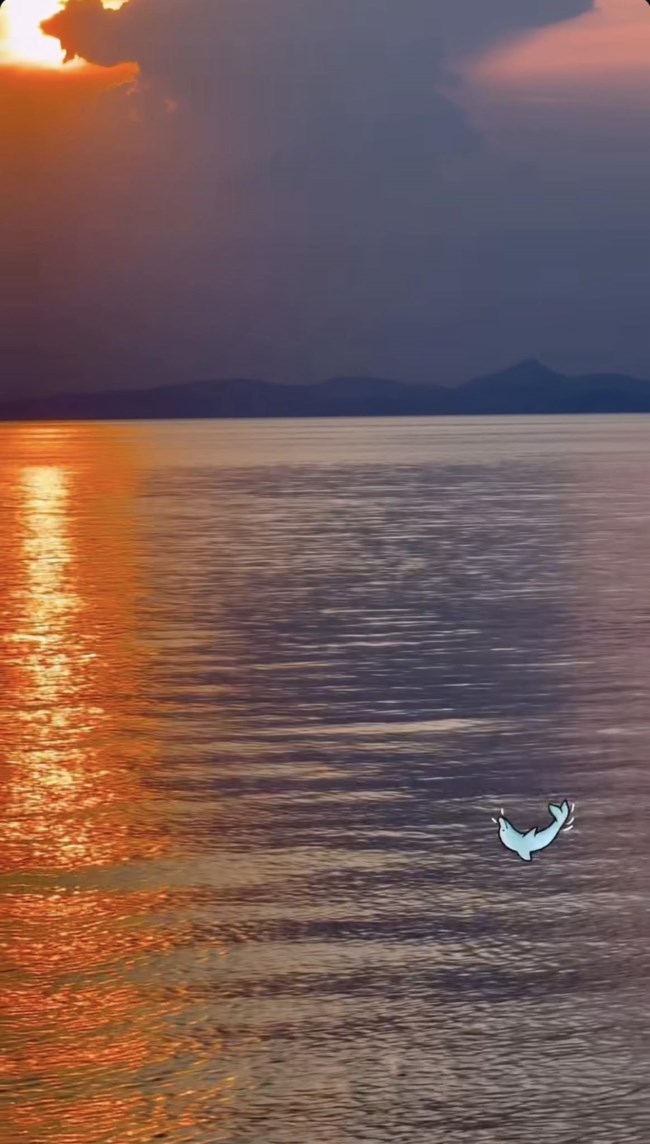Κώστας Τσαρτσαρής