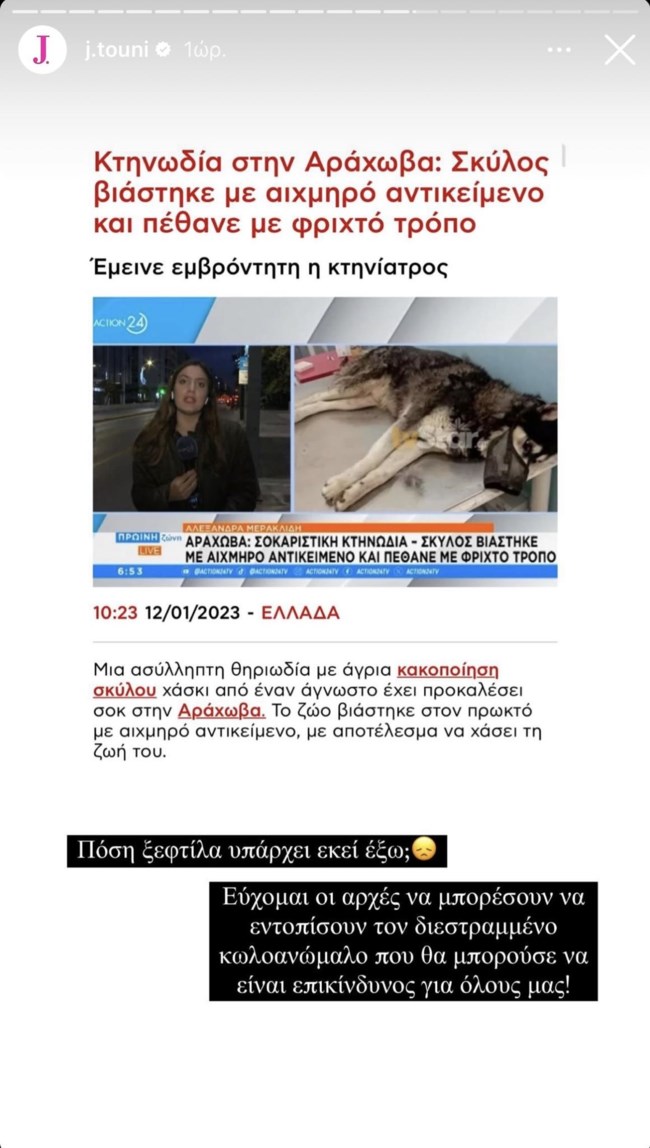 Ιωάννα Τούνη: "Πόση ξεφτίλα υπάρχει εκεί έξω, θα μπορούσε να είναι επικίνδυνος για όλους μας"