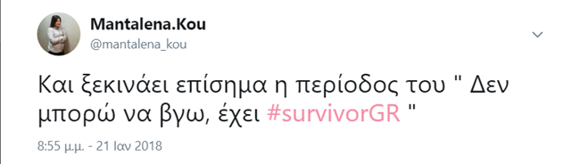 Survivor - εικόνα 5