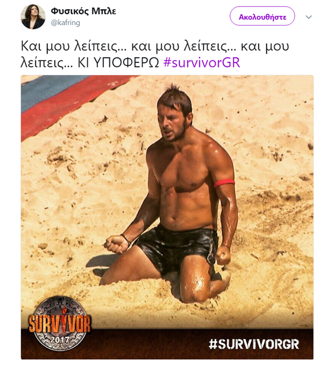 Survivor - εικόνα 4
