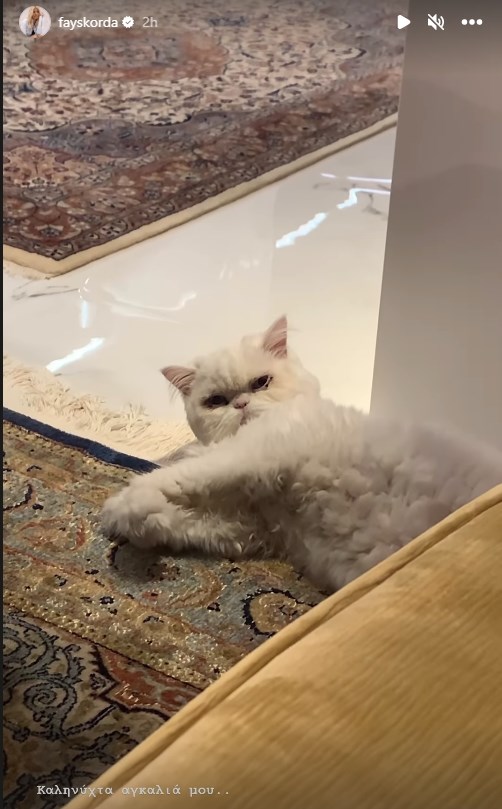 Θλίψη για τη Φαίη Σκορδά | Έμαθε on air πως έφυγε από τη ζωή ο γάτος της