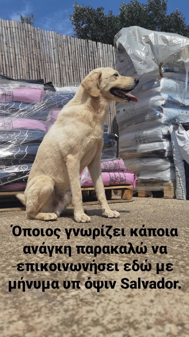 Λεωνίδας Κουτσόπουλος Story