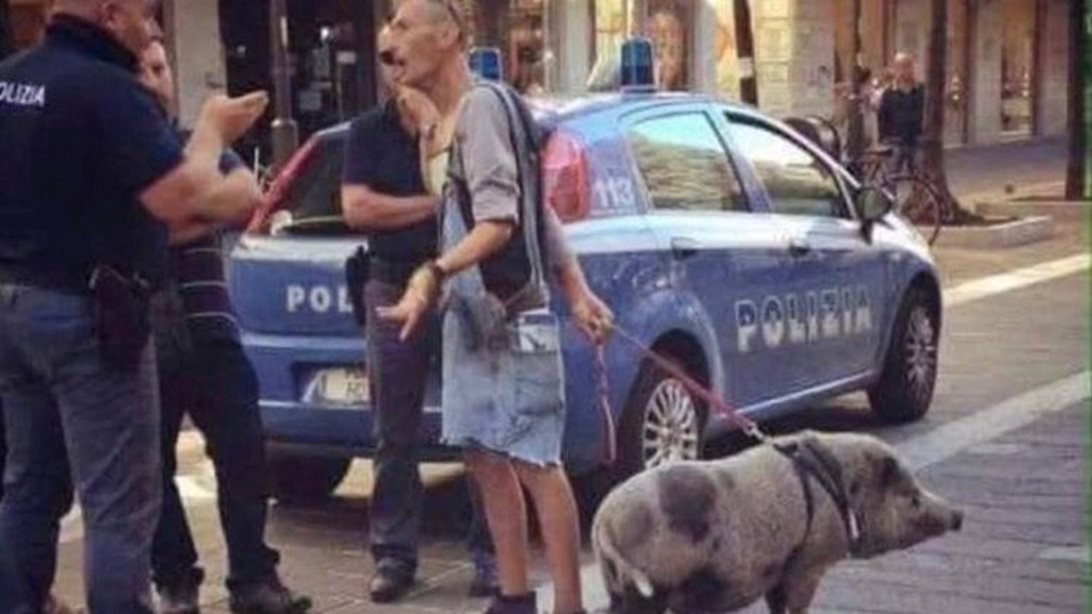 Απαγόρευση κυκλοφορίας: Τα social media έκαναν "πάρτι": "Βγάζω βόλτα ανθρώπους, 5 ευρώ την ώρα"