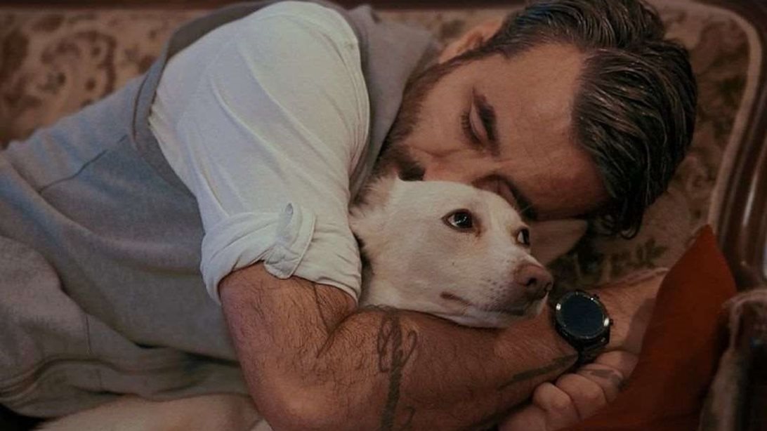 Παγκόσμια Ημέρα Αδέσποτων Ζώων: 5 αδέσποτες ιστορίες