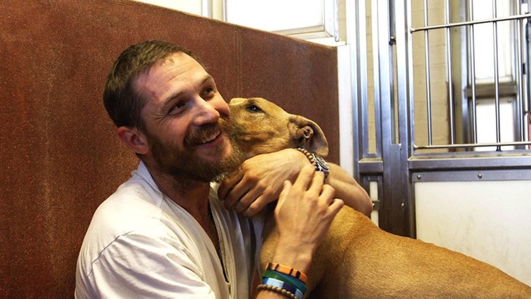 Γιατί το να έχεις σκύλο κάνει ακόμα καλύτερη την υγεία σου
: Νέα έρευνα αποκαλύπτει όλα τα οφέλη του να έχεις έναν πιστό τετράποδο φίλο.