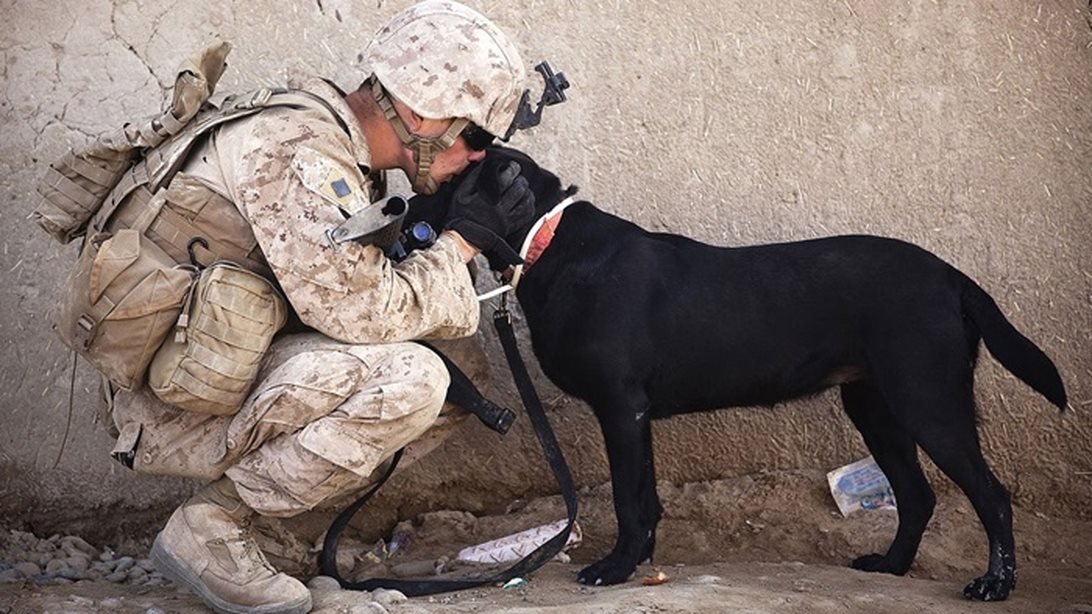 Channing Tatum: Γυρίζει ταινία για το δέσιμο μεταξύ στρατιωτών και σκυλιών